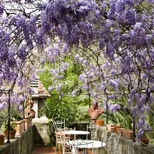 Sant' Agostino , Lucca Italy